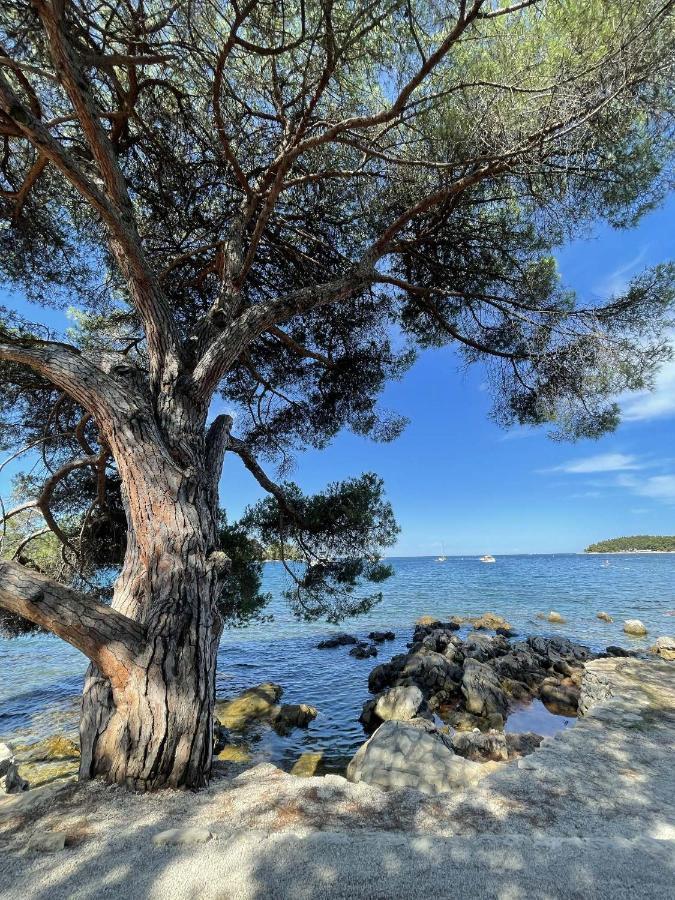 Apartmán Clorinda Sea View Free Parking Rovinj Exteriér fotografie